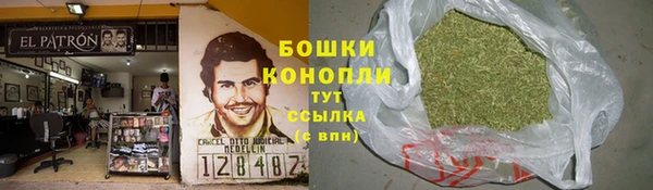 гашик Алзамай