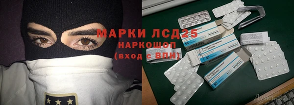 гашик Алзамай