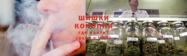 ПСИЛОЦИБИНОВЫЕ ГРИБЫ Горно-Алтайск