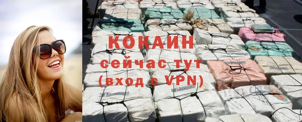 гашик Алзамай