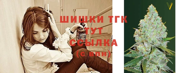 МДПВ Абаза